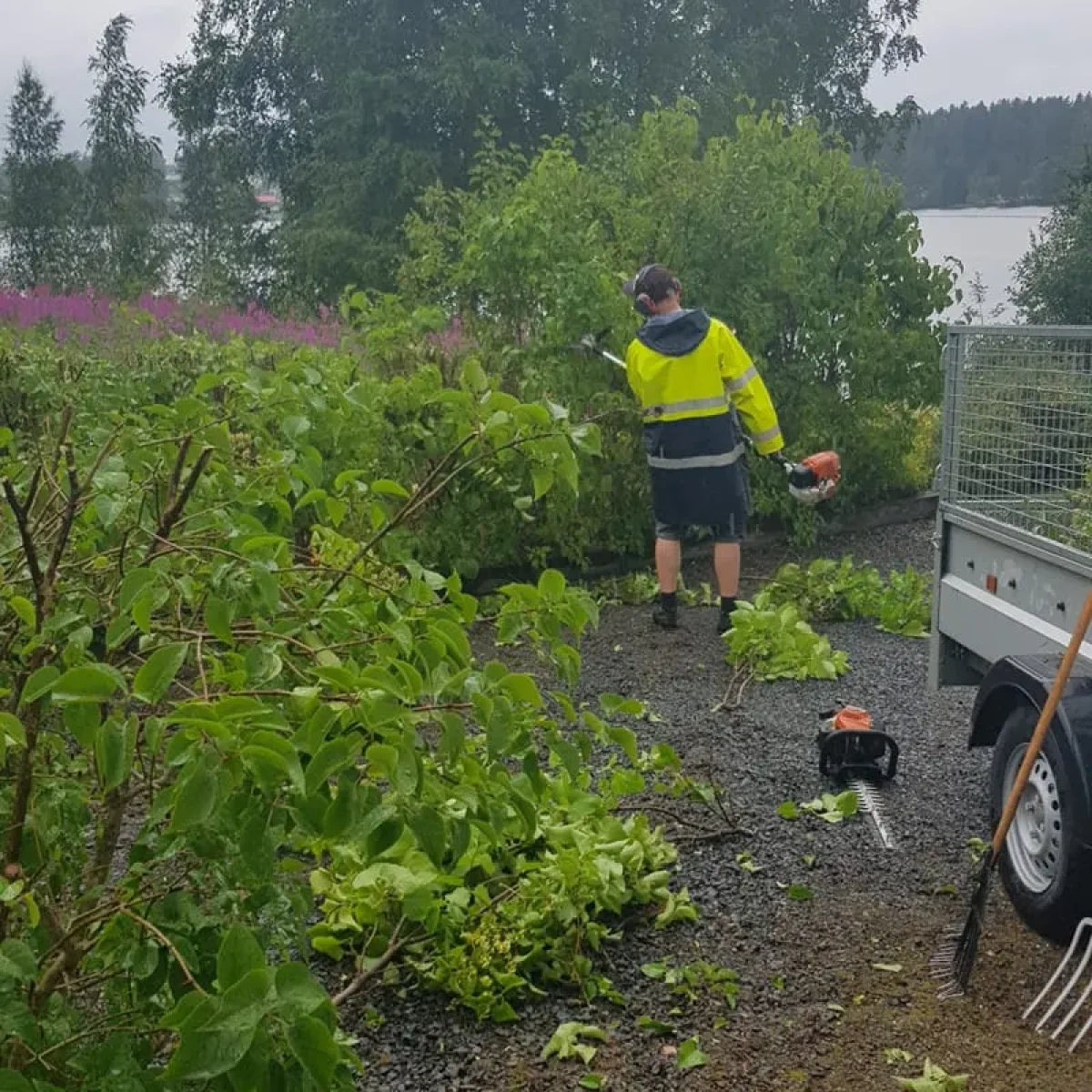 Bilden visar en person som utför trädgårdsarbete. Personen är klädd i en gul reflexjacka och svarta shorts, och bär på en bärbar lövblåsare. De står på en grusgång bredvid en släpvagn och framför några gröna buskar och träd. Det finns en kratta och en lövblåsare på marken nära personen, vilket tyder på att de har varit involverade i att rensa området. I bakgrunden kan man se ett vattenlandskap, förmodligen en sjö, med träd och några högre växter med lila blommor som ger en naturskön vy. Det verkar vara en mulen dag, vilket antyder att det kanske har regnat eller kommer att regna.