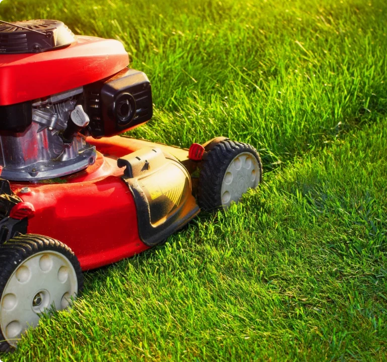 Röd gräsklippare klipper gräset under trädgårdsskötsel i Dalarna.